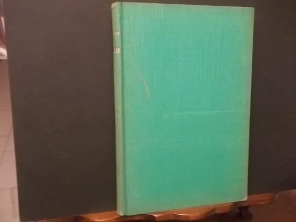 IL POETA ASSASSINATO