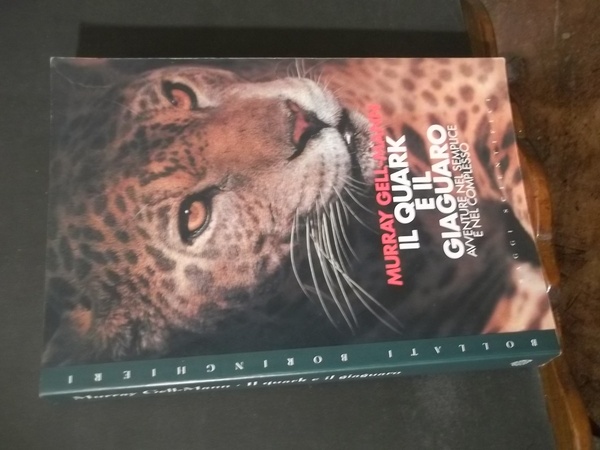 IL QUARK E IL GIAGUARO AVVENTURE NEL SEMPLICE E NEL …