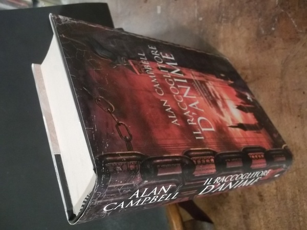 IL RACCOGLITORE D'ANIME