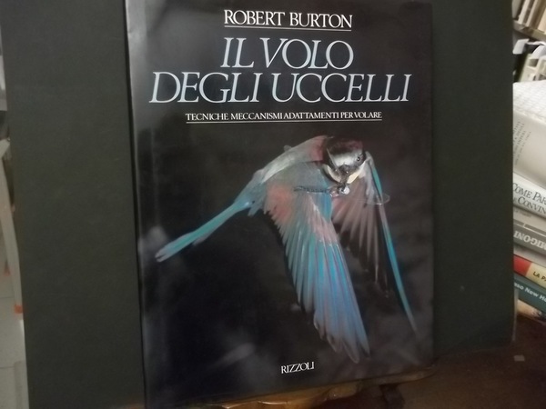 IL VOLO DEGLI UCCELLI TECNICHE MECCANISMI ADATTAMENTI PER VOLARE