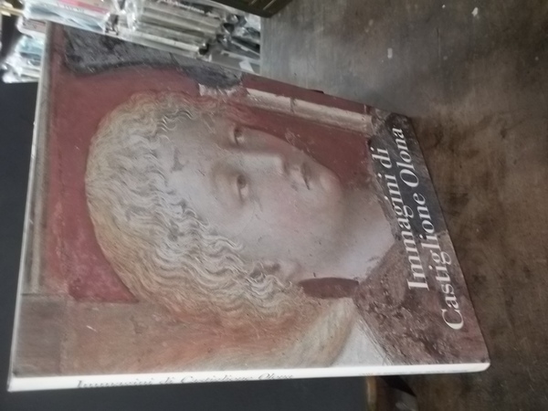 IMMAGINI DI CASTIGLIONE OLONA