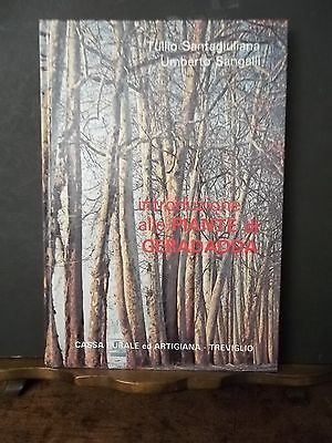 INTRODUZIONE ALLE PIANTE DI GERADADDA