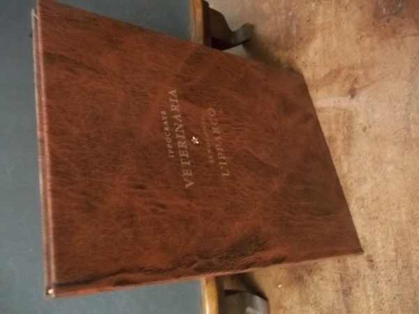 IPPOCRATE VETERINARIA - SENOFONTE L'IPPARCO