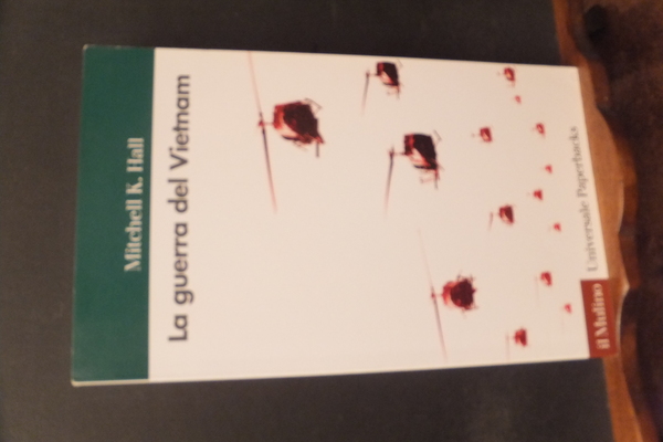 LA GUERRA DEL VIETNAM
