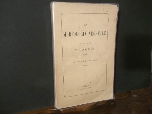 LA MORFOLOGIA VEGETALE