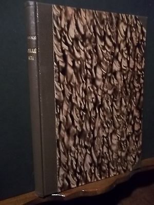 LA VITA DELLE TERMITI