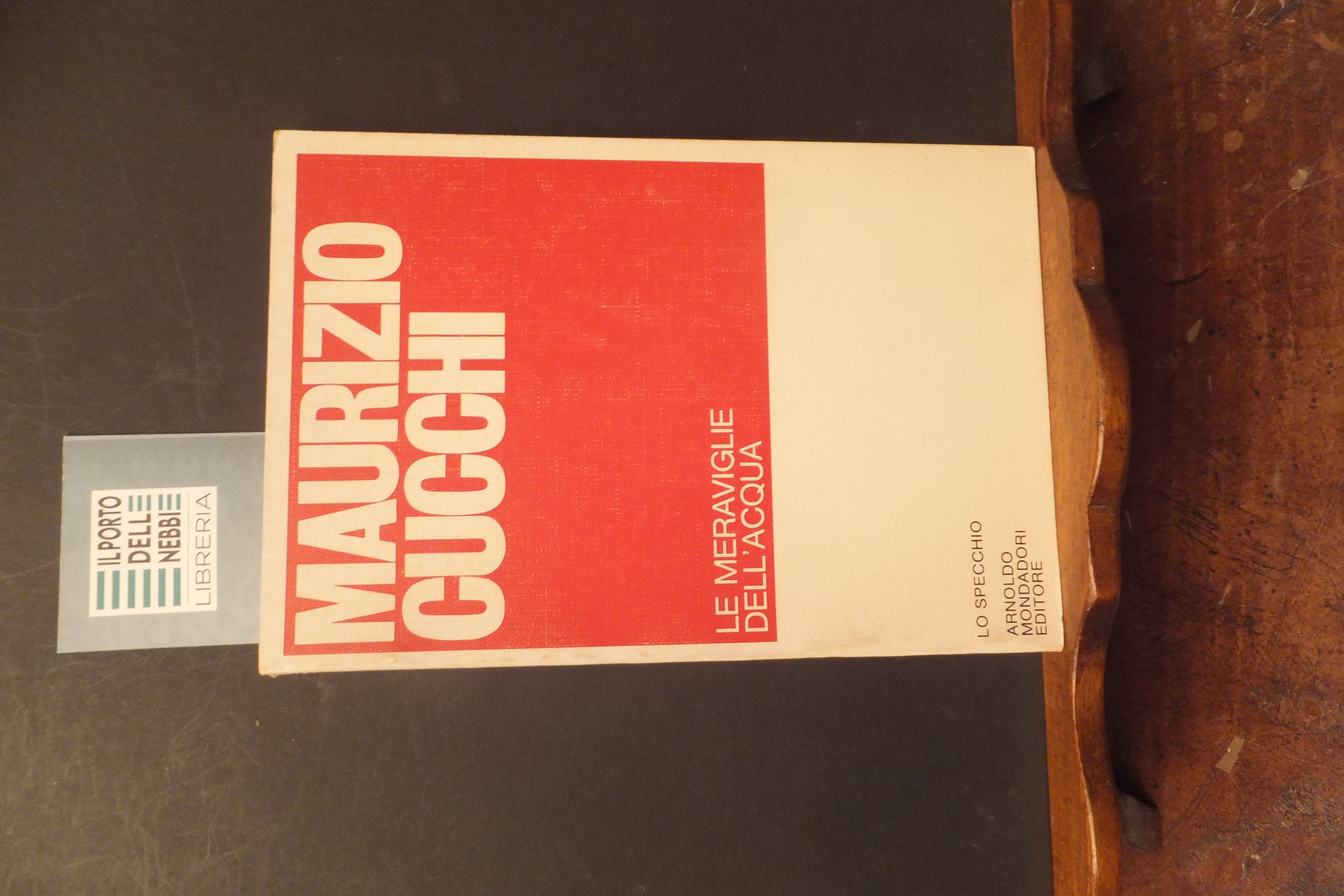 LE MERAVIGLIE DELL'ACQUA MAURIZIO CUCCHI