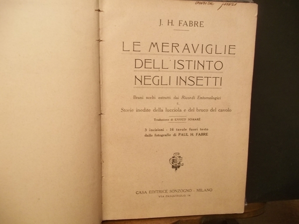 LE MERAVIGLIE DELL'ISTINTO NEGLI INSETTI