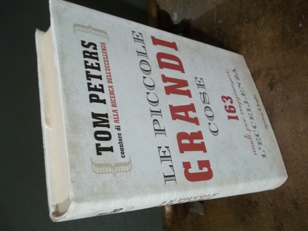 LE PICCOLI GRANDI COSE 163 MODI PER RAGGIUNGERE L'ECCELLENZA