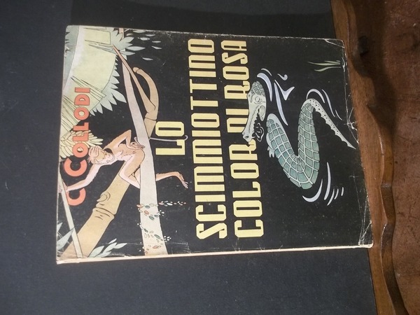 LO SCIMMIOTTINO COLOR DI ROSA