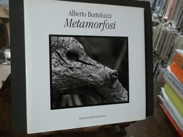 METAMORFOSI