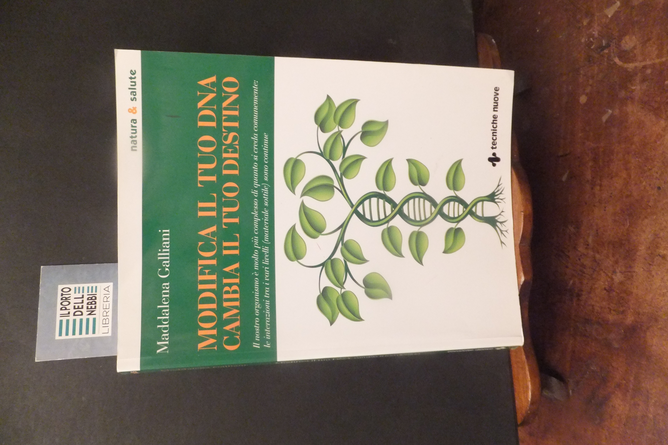 MODIFICA IL TUO DNA CAMBIA IL TUO DESTINO MADDALENA GALLIANI