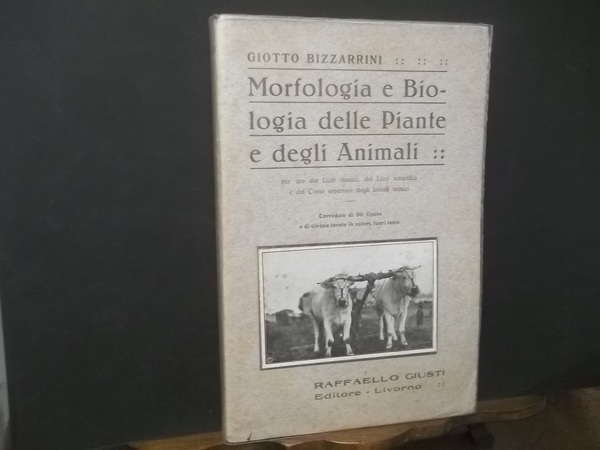 MORFOLOGIA E BIOLOGIA DELLE PIANTE E DEGLI ANIMALI