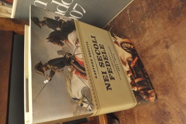 NEI SECOLI FEDELE LE BATTAGLIE DEI CARABINIERI 1814 -2014