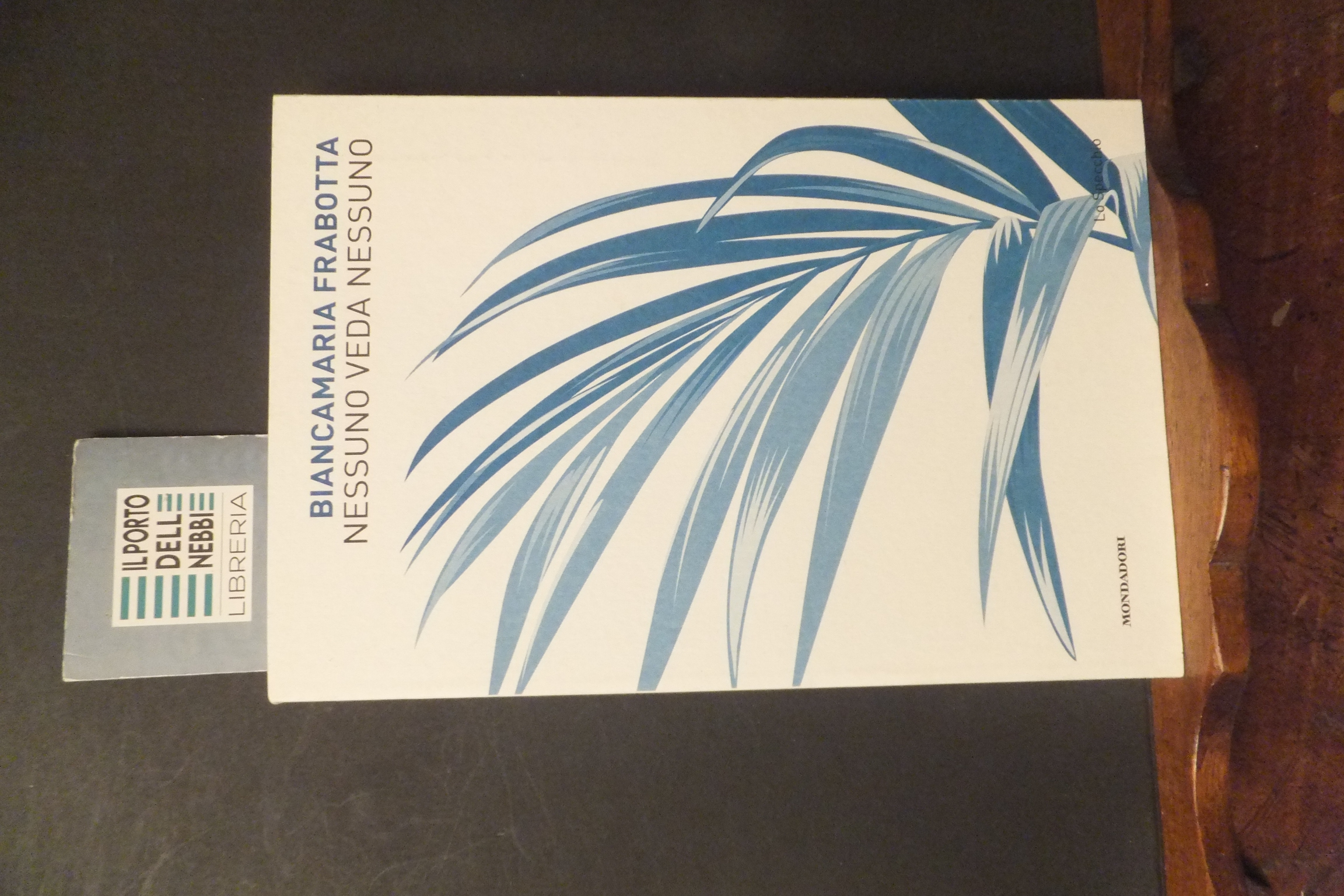 NESSUNO VEDA NESSUNO BIANCAMARIA FRABOTTA