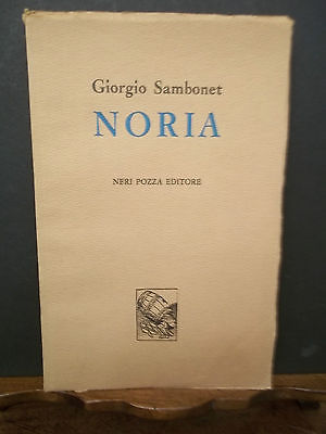 NORIA POESIA VOLUME VENTUNESIMO