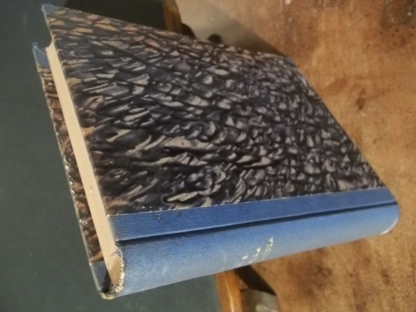 NOSTRA SIGNORA DELLA GUARDIA E IL SUO SANTUARIO IN VAL …