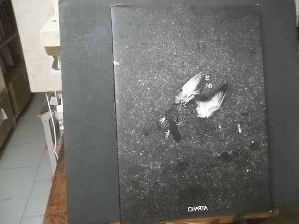 NYC NEW YORK REVISITED