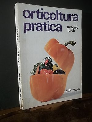 ORTICOLTURA PRATICA EDAGRICOLE