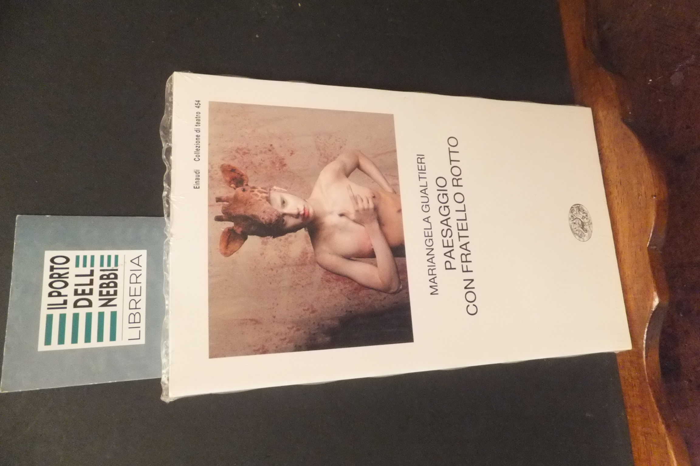 PAESAGGIO CON FRATELLO ROTTO MARIANGELA GUALTIERI