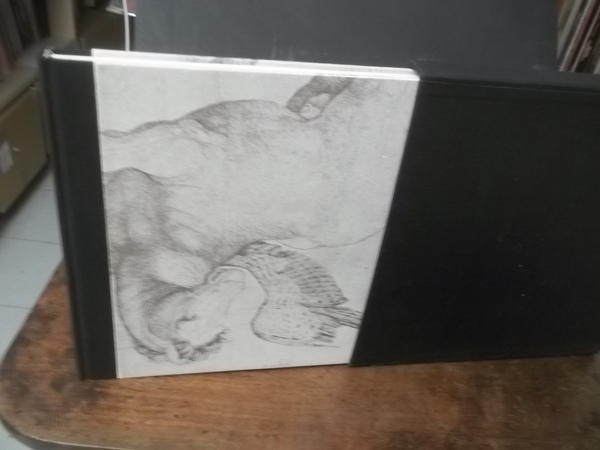 PEGASO L'ARTE DELLA LEGGENDA