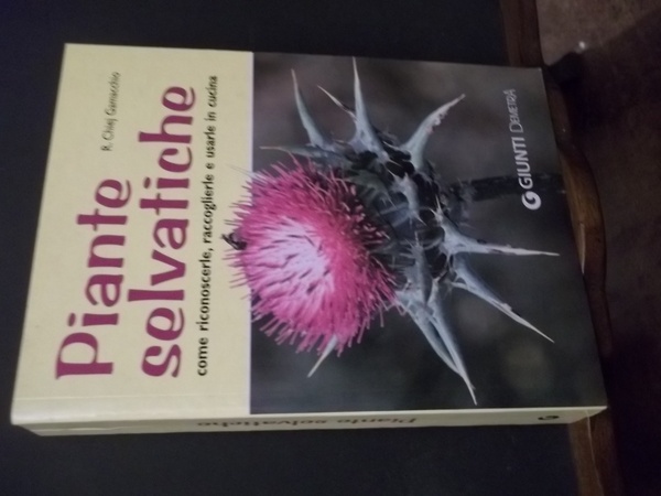 PIANTE SELVATICHE COME RICONOSCERLE RACCOGLIERLE E USARLE IN CUCINA