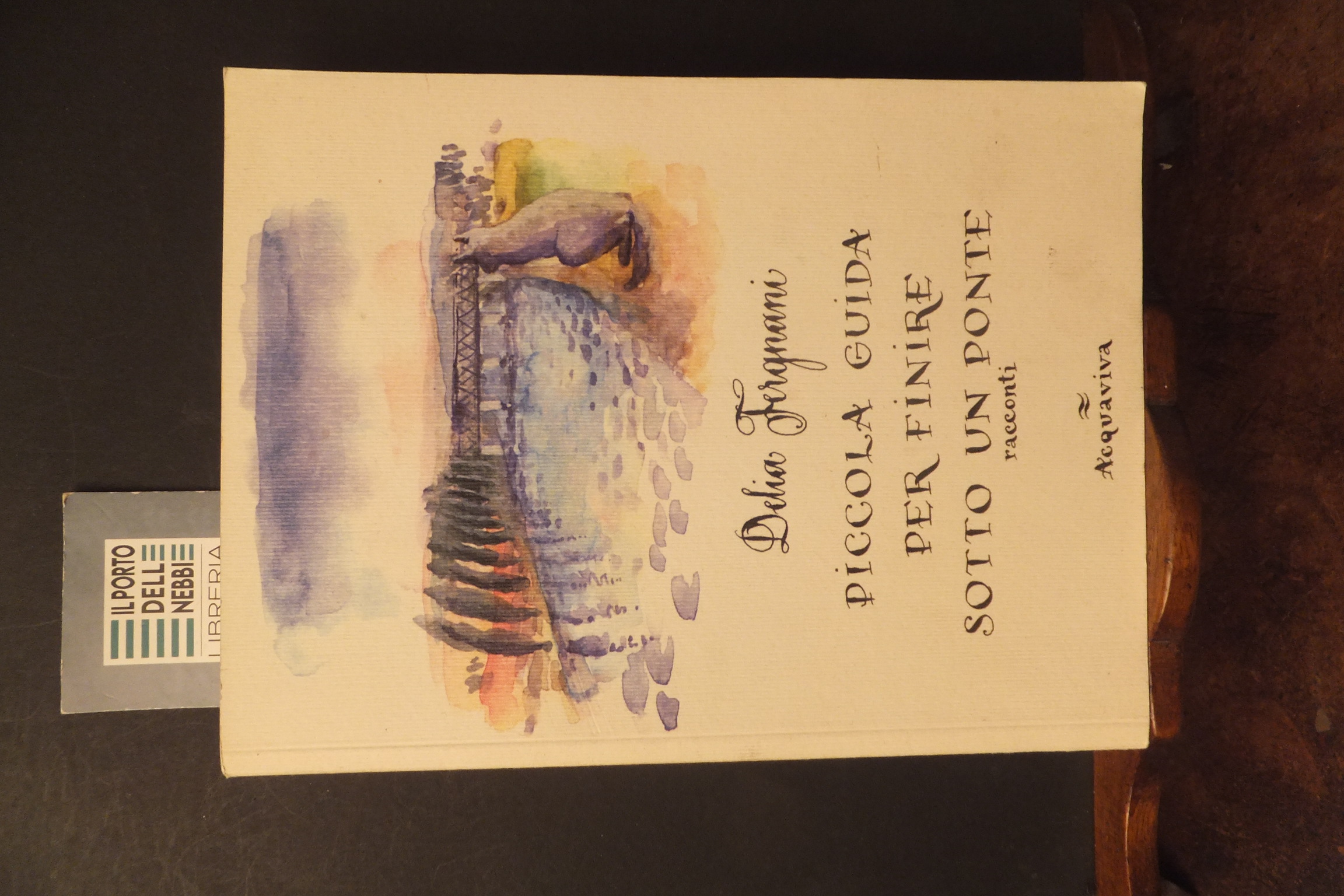 PICCOLA GUIDA PER FINIRE SOTTO UN PONTE RACCONTI DELIA FERGNANI