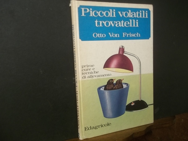 PICCOLI VOLATILI TROVATELLI