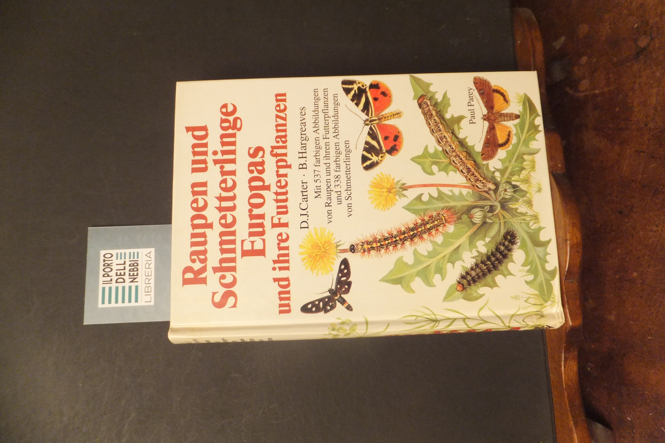 RAUPEN UND SCHMETTERLINGE EUROPAS UND IHRE FUTTERPFLANZEN