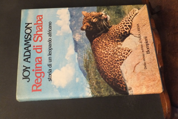 REGINA DI SHABA STORIA DI UN LEOPARDO AFRICANO
