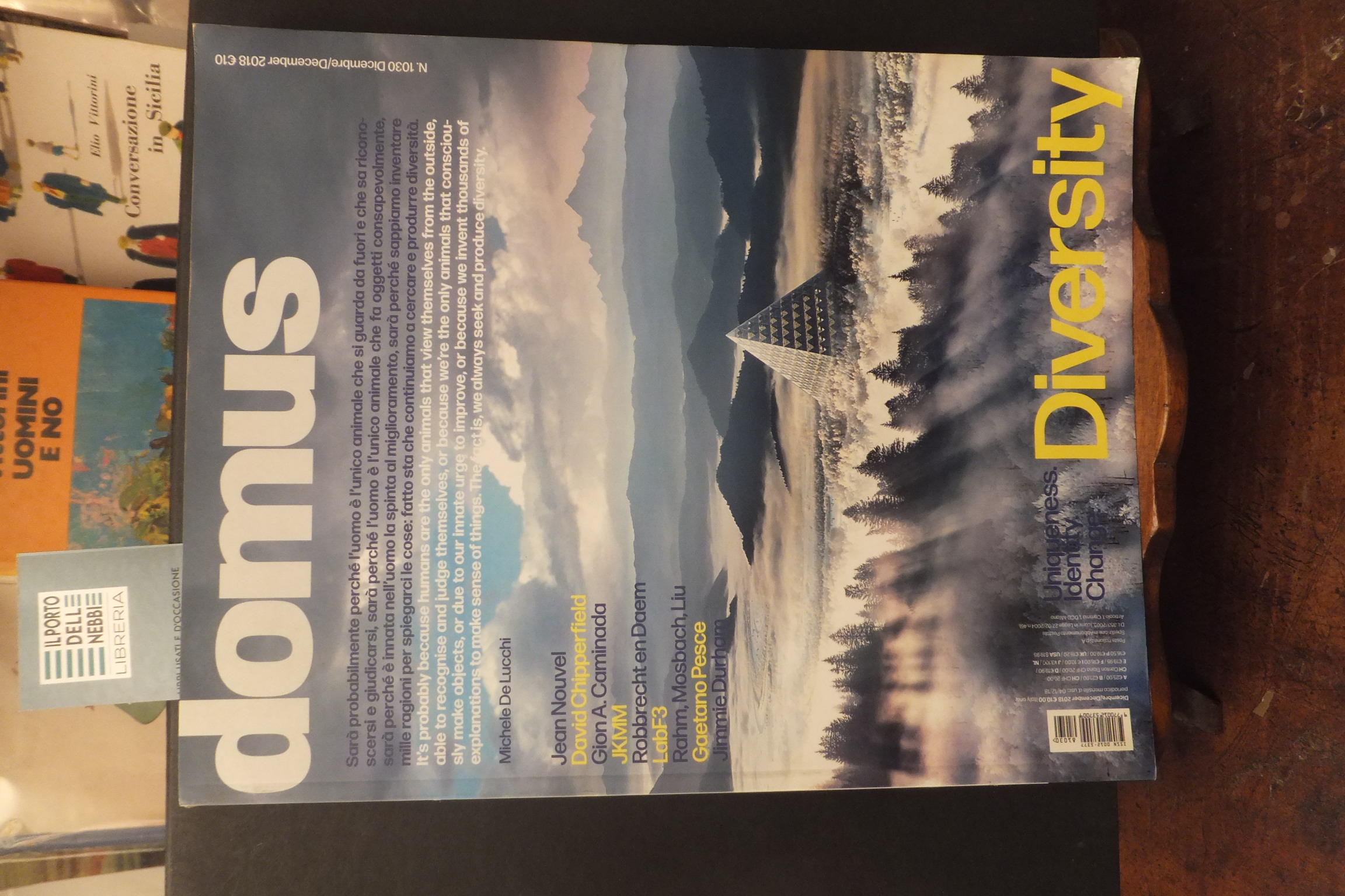 RIVISTA DOMUS 1030 OTTOBRE 2018 ARCHITETTURA DIVERSITY