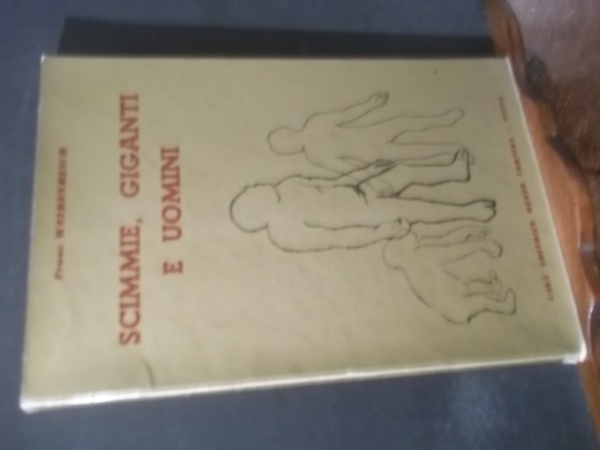 SCIMMIE GIGANTI E UOMINI