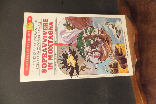 SOPRAVVIVERE IN MONTAGNA - SCEGLI LA TUA AVVENTURA 17