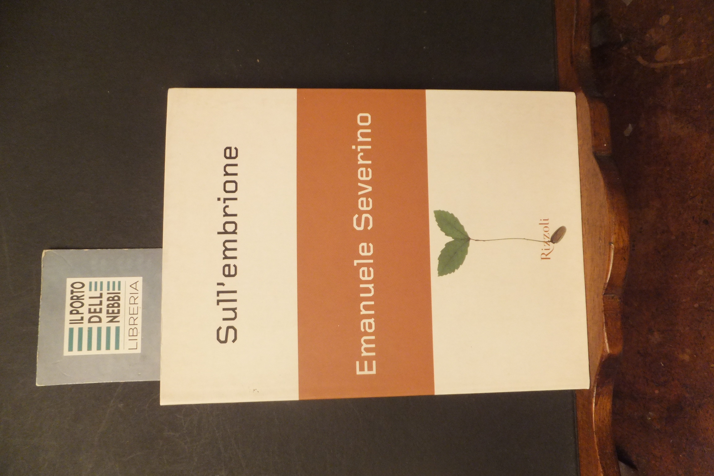 SULL'EMBRIONE EMANUELE SEVERINO