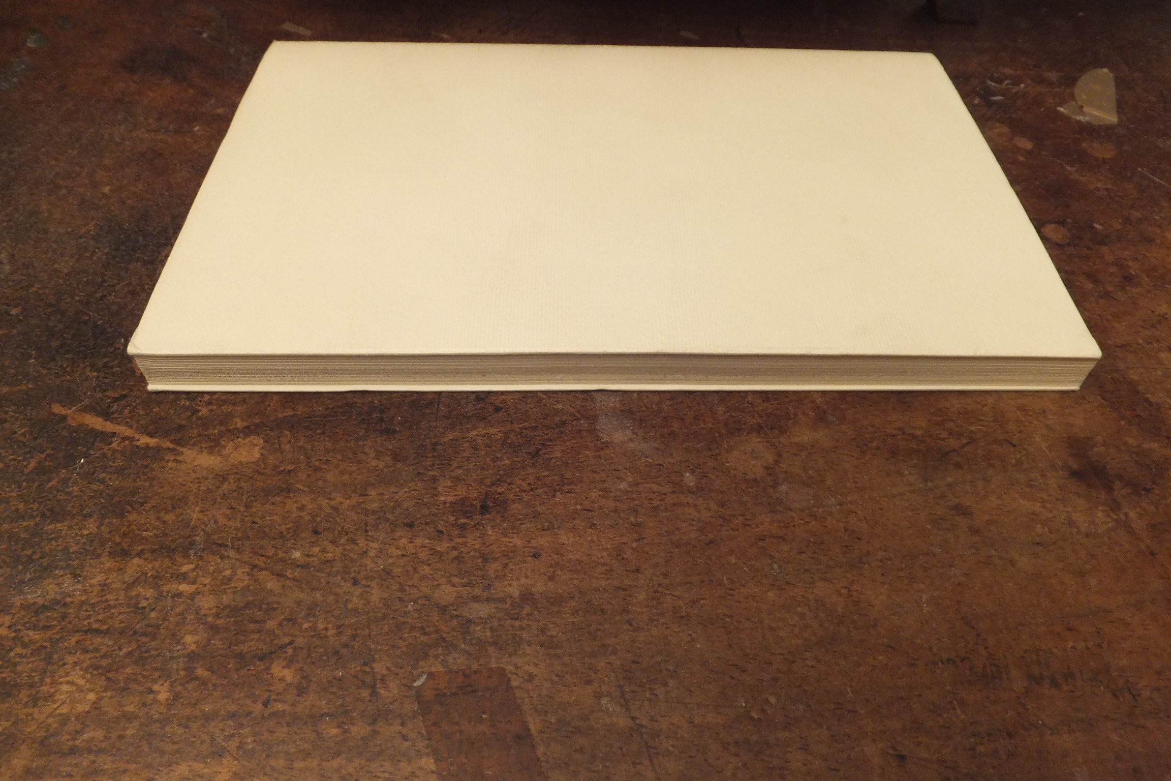 TESTAMENTO ALDA MERINI