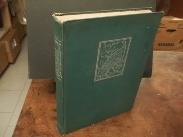 THE BIRDS OF AMERICA