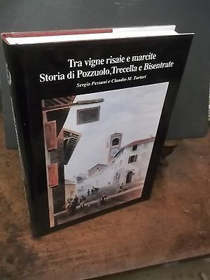 TRA VIGNE RISAIE E MARCITE STORIA POZZUOLO TRECELLA BISENTRATE