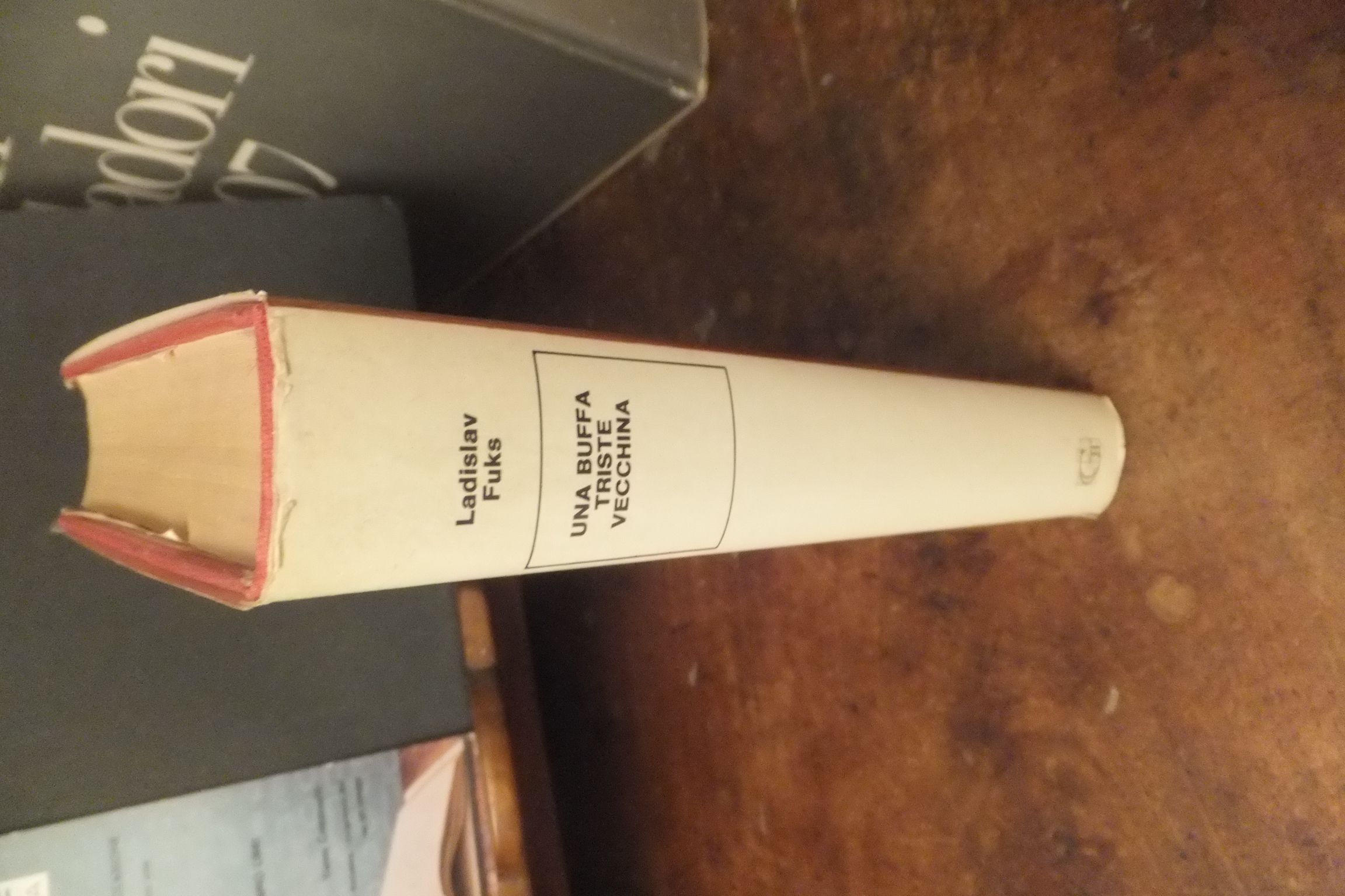 UNA BUFFA TRISTE VECCHINA LADISLAV FUKS