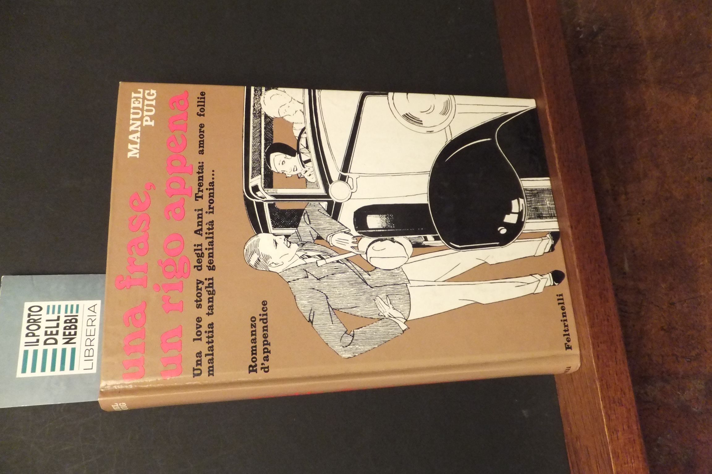 UNA FRASE UN RIGO APPENA MANUEL PUIG