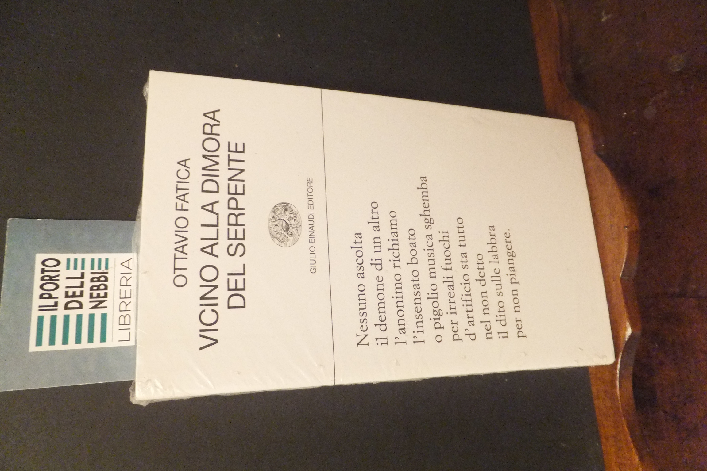 VICINO ALLA DIMORA DEL SERPENTE OTTAVIO FATICA