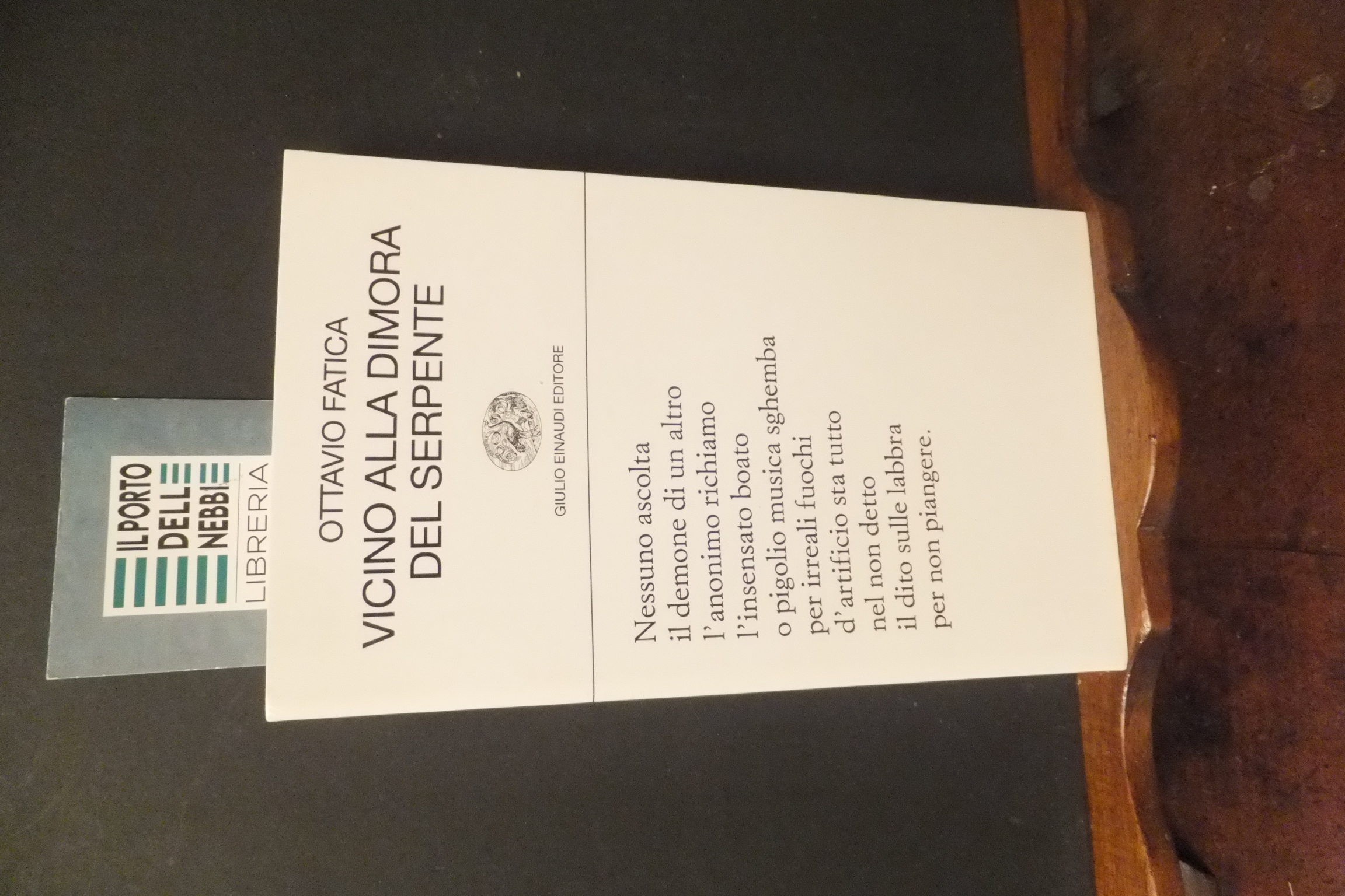 VICINO ALLA DIMORA DEL SERPENTE OTTAVIO FATICA