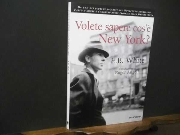 Volete sapere cos'è New York