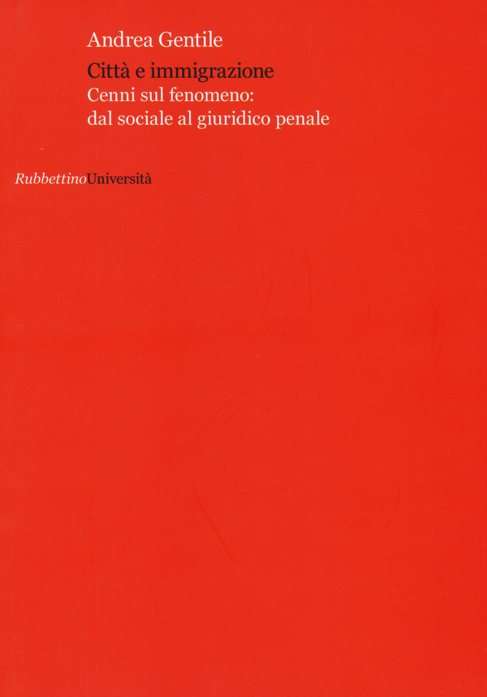 Città e immigrazione. Cenni sul fenomeno: dal sociale al giuridico …