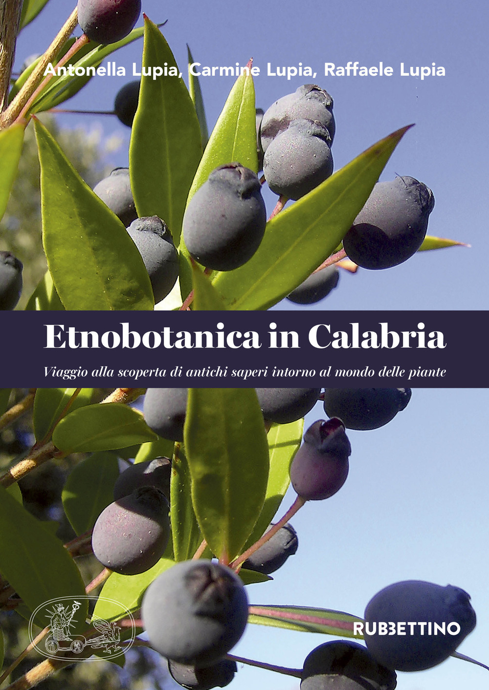 Etnobotanica in Calabria. Viaggio alla scoperta di antichi saperi intorno …
