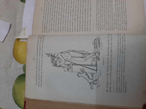 L’Enologia e la sua viticultura presso i romani. Studio fatto …