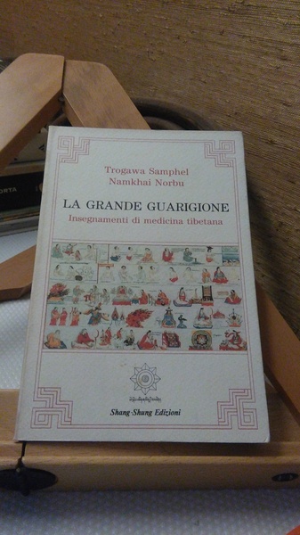 LA GRANDE GUARIGIONE