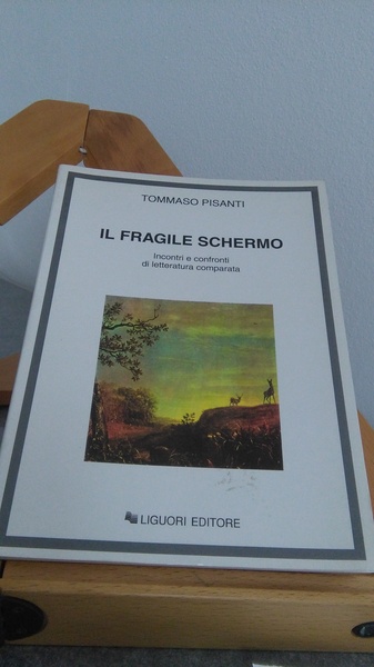 IL FRAGILE SCHERMO - INCONTRI E CONFRONTI DI LETTERATURA COMPARATA