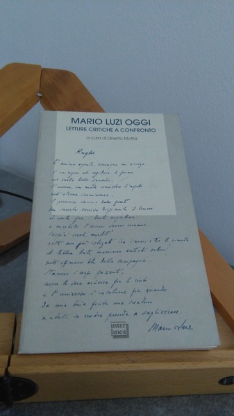 MARIO LUZI OGGI. LETTURE CRITICHE A CONFRONTO