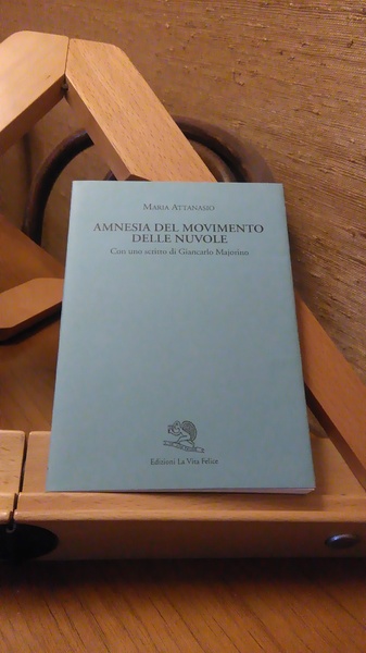 AMNESIA DEL MOVIMENTO DELLE NUVOLE