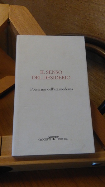 IL SENSO DEL DESIDERIO - POESIA GAY DELL'ETà MODERNA